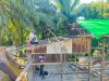 Satgas TMMD Ke-128 Kodim 1204/Sanggau Mulai Kerjakan Rehab Rumah Warga Di Dusun Tanak