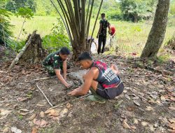 Satgas TMMD Ke-128 Kodim 1204/Sanggau Melaksanakan Proses Penyemaian Padi