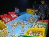 TNI AL Kodaeral XII Gerak Cepat Gagalkan Praktik Bom Ikan Di Perairan Kalbar Satu Kapal Diamankan