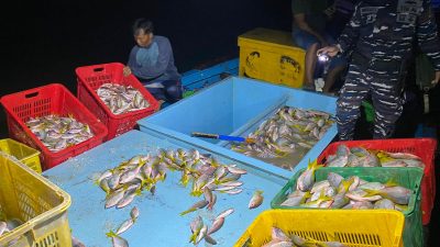 TNI AL Kodaeral XII Gerak Cepat Gagalkan Praktik Bom Ikan Di Perairan Kalbar Satu Kapal Diamankan
