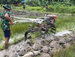 Pembukaan Lahan Pertanian Sawah Terus Dikerjakan Satgas TMMD Gunakan Traktor Untuk Pembajakan