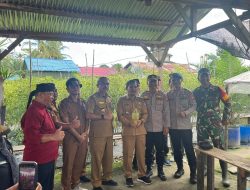 Forkopimcam Dan Kelompok Tani Kompak Panen Raya Cabai Di Desa Merarai 2