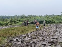 Satgas TMMD Ke-128 Kodim 1204/Sanggau Bersama Warga Laksanakan Pembajakan Menggunakan Traktor