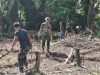 Gotong Royong Bersama Masyarakat Satgas TMMD Ke-128 Kodim 1204/Sanggau Buka Lahan Jagung Di Semayang