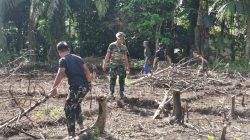 Gotong Royong Bersama Masyarakat Satgas TMMD Ke-128 Kodim 1204/Sanggau Buka Lahan Jagung Di Semayang