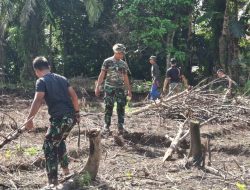 Gotong Royong Bersama Masyarakat Satgas TMMD Ke-128 Kodim 1204/Sanggau Buka Lahan Jagung Di Semayang