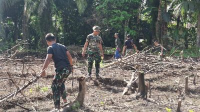 Gotong Royong Bersama Masyarakat Satgas TMMD Ke-128 Kodim 1204/Sanggau Buka Lahan Jagung Di Semayang