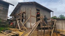 Pembangunan 5 Unit RTLH Satgas TMMD Ke-128 Kodim 1204/Sanggau Masuki Tahap Finishing