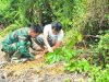 Wujudkan Indonesia Sehat Satgas TMMD Ke-128 Kodim 1204/Sanggau Tanam Sejumlah Pohon