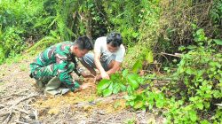 Wujudkan Indonesia Sehat Satgas TMMD Ke-128 Kodim 1204/Sanggau Tanam Sejumlah Pohon
