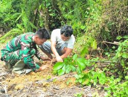 Wujudkan Indonesia Sehat Satgas TMMD Ke-128 Kodim 1204/Sanggau Tanam Sejumlah Pohon