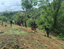 Satgas TMMD Ke-128 Kodim 1204/Sanggau Rampungkan Penanaman 1.000 Pohon Di Desa Semayang