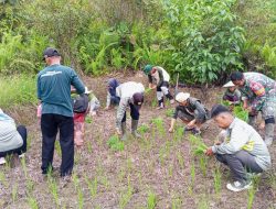Koramil 1206-14/Hulu Gurung Bersama Brigade Pangan Lubuk Antuk Tanam Padi Serentak Se-Indonesia