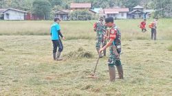 Mencegah Berkembang Biaknya Wabah Penyakit Koramil Batang Lupar Bersama Forkopimcam Dan Masyarakat Bersihkan Lapangan Bola Desa Lanjak Deras