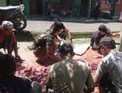 Koramil 1206-14/Hulu Gurung Bersama Warga Gelar Penyembelihan Dan Pendistribusian Daging Qurban Hari Raya Idul Adha 1447 H
