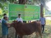 ‎Tebar Kepedulian Dii Hari Raya Idul Adha, Danrem 121/Abw Serahkan Hewan Qurban Untuk Masyarakat