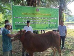 ‎Tebar Kepedulian Dii Hari Raya Idul Adha, Danrem 121/Abw Serahkan Hewan Qurban Untuk Masyarakat