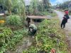 Cegah Timbulnya Penyakit Di Musim Hujan Babinsa Koramil 02/Sejangkung Bersama Warga Gotong Royong Bersihkan Parit