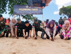 Dalam Rangka Hari Lingkungan Hidup Dan Pelestarian Biota Laut Danrem 121/Abw Lepas Tukik Di Pantai Batu Nenek Paloh