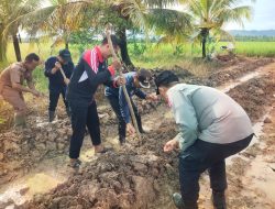 Dukung Ketahanan Pangan Wilayah Babinsa Salatiga Tanam Jagung Bersama Polri