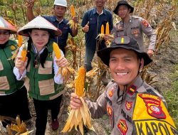Sinergi Polri dan PT Sandika Nata Palma (Minamas Group) Dukung Ketahanan Pangan Nasional Di Marau