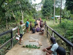 Koramil Silat Hulu Bersama Masyarakat Desa Nanga Dangkan Gotong Royong Perbaiki Jalan Setapak