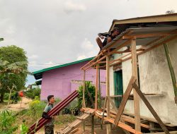 Wujud Kemanunggalan TNI AD Kejar Target Anggota Satgas TMMD Kodim 1206/Psb Pada RTLH Milik  Mariana Tius 