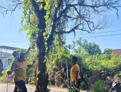 Respon Cepat Polsek Nanga Pinoh bersama Warga Tebang Pohon Dekat Jalan Raya