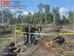 Kurang Dari 24 Jam Polsek Manis Mata Berhasil Ungkap Kasus Pembunuhan Korban Orang Hilang Di Desa Seguling