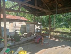 Anggota Satgas TMMD Ke-129 Kodim 1206/Putussibau Mulai Kerjakan RTLH Milik Mariana