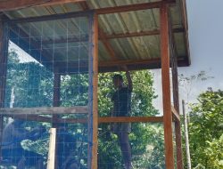 Satgas TMMD Regtas Ke-129 Kodim 1206/Putussibau Laksanakan Pemasangan Waring Rumah  Marsiana