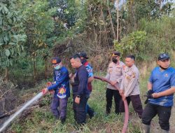 Tanggap Cepat Polisi Warga Dan Damkar Berjibaku Padamkan Kebakaran Lahan Di Tunas Jaya