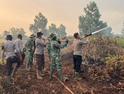 Tim Damkarhutla Polres Ketapang Gerak Cepat Padamkan Karhutla Di Km 8 Pelang–Kepuluk