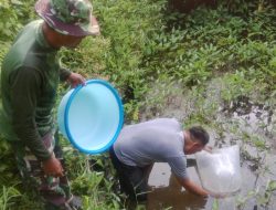 Perkuat Ketahanan Pangan Lokal Satgas TMMD Ke-129 Kodim 1206/Putussibau Bagikan Bibit Ikan Ke Warga