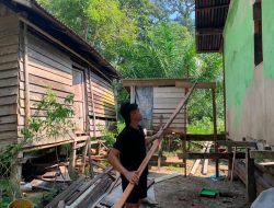 Bukan Sekadar Cat Satgas TMMD Hadirkan Harapan Baru Di Rumah Marsiana