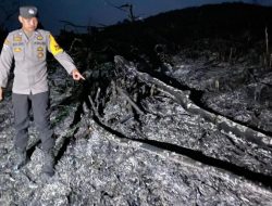 Respons Cepat Cegah Karhutla Personel Polsek Sayan Ground Check Titik Api Di Desa Nanga Mancur