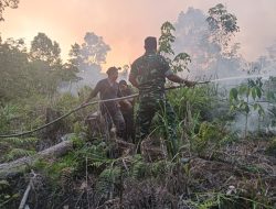 Danramil 1206-13/Bunut Hulu Turun Langsung Bersama BPBD Padamkan Api Di Wilayah Binaan Kecamatan Mentebah