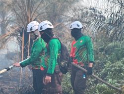 Cegah Karhutla Meluas Tim SAR Polda Kalbar Padamkan Titik Api Di Kubu Raya