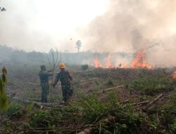 Aksi Cepat Babinsa Koramil 03/Ketungau Hilir Dalam Penanganan Karhutla 