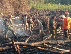 Kompak Padamkan Karhutla Babinsa Semitau Bersama Polsek Dan Warga Bergerak Cepat Di Desa Kenepai Komplek