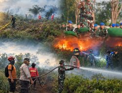 Danrem 121/Abw Perintahkan Jajarannya Lakukan Pemantauan wilayah Secara Intensif Cegah Kebakaran Hutan Lahan
