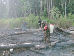 Babinsa Koramil 1206-06/Putussibau Utara Padamkan Api Karhutla Di Desa Kedamin Darat