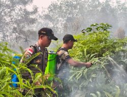 Tanpa Lelah Koramil 04/Badau Padamkan Karhutla 