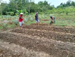 Dekat Dengan Rakyat Serma Ukzan Ely Bantu Warga Tanam Kacang Panjang Di Desa Sepandan