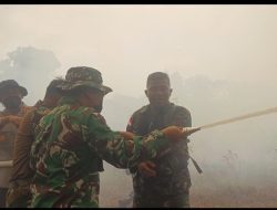Terkepung Asap Dandim Dan Kapolres Berjibaku Padamkan Api 