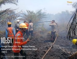 Polres Ketapang Sigap Tangani Karhutla Di Sungai Awan Kiri Api Berhasil Dipadamkan