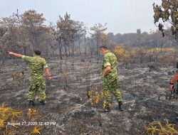 Brigjen TNI Zamroni Tim Penyuluh Karhutla Wilayah Sintang Tinjau Langsung lLlokasi Kebakaran Hutan Dan Lahan