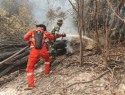 Aksi Nyata Cegah Karhutla Babinsa Koramil 1206-09/Jongkong Bersama Polsek Dan BPBD Padamkan Api Di Pengkadan