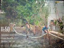 Api Berhasil Dipadamkan Koramil 1204-09/Toba Intensifkan Penanganan Karhutla