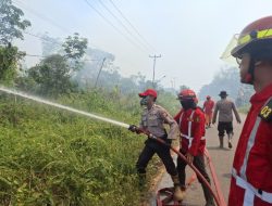 Satgas Penanganan Karhutla Berjibaku Di Jalan Sirtu